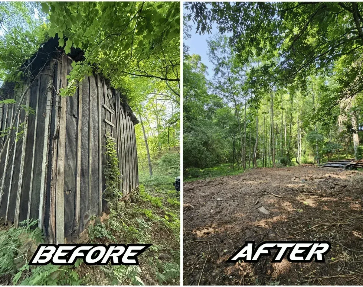 Before and after: old wooden shed in the woods torn down and the site cleared